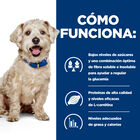 Hill's Prescription Diet Diabetes Care w/d Pollo pienso para perros, , large image number null